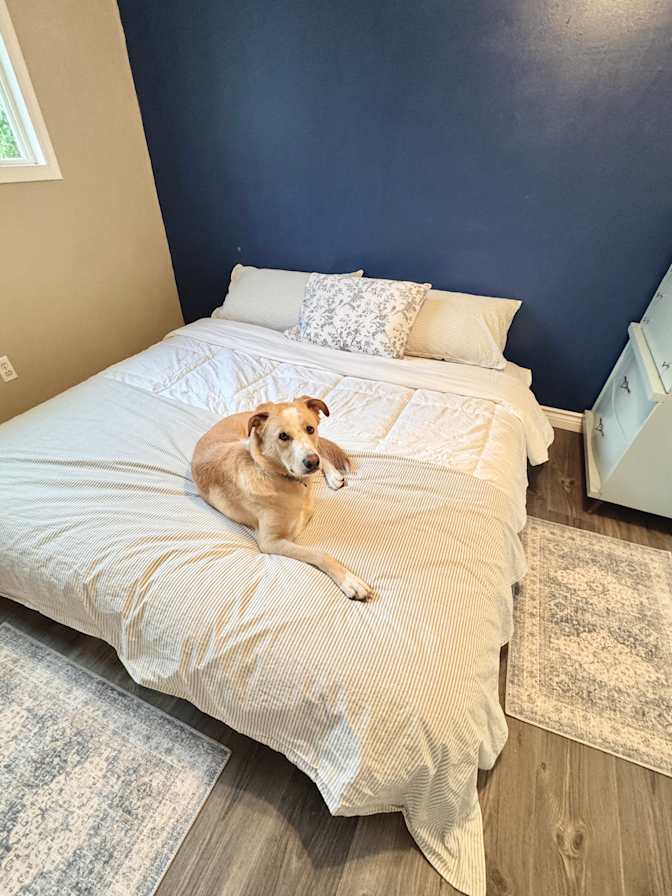 Dannie's room