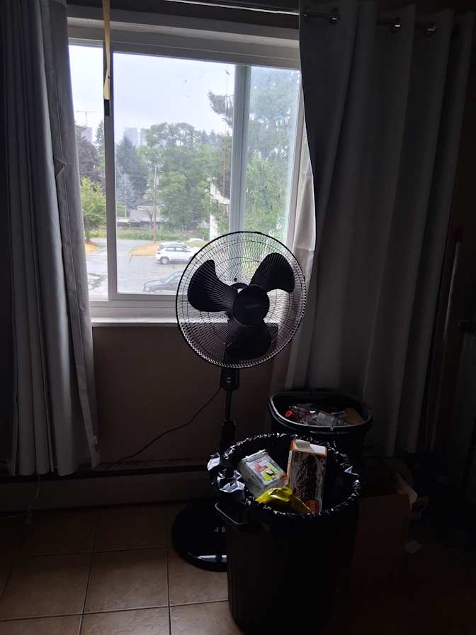 Dan's room