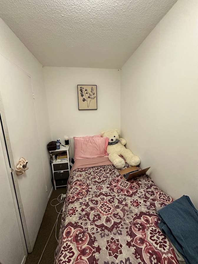 Sasha's room