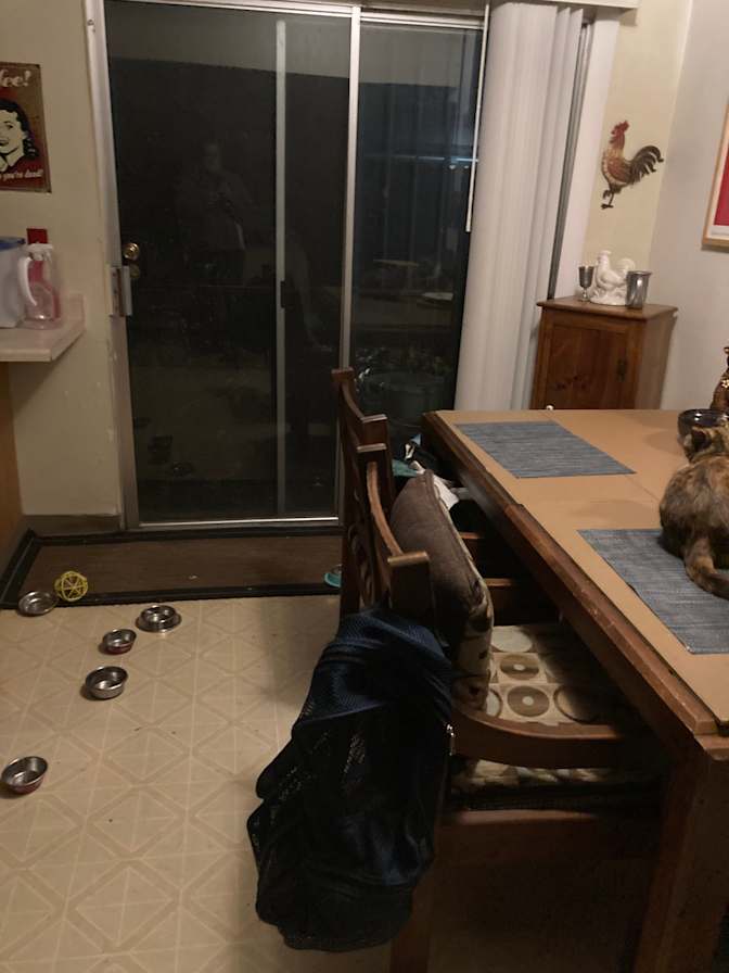 Michelle's room