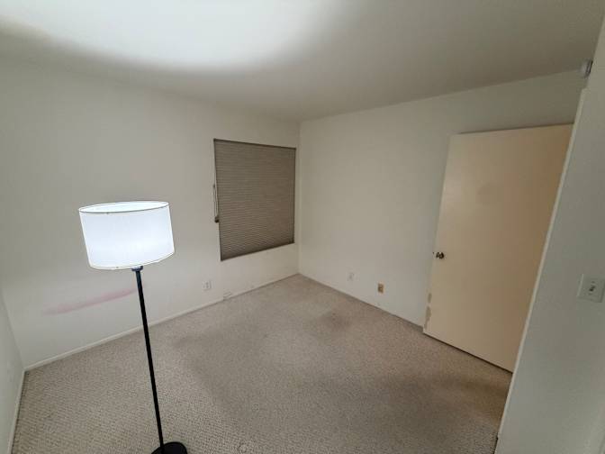 David's room