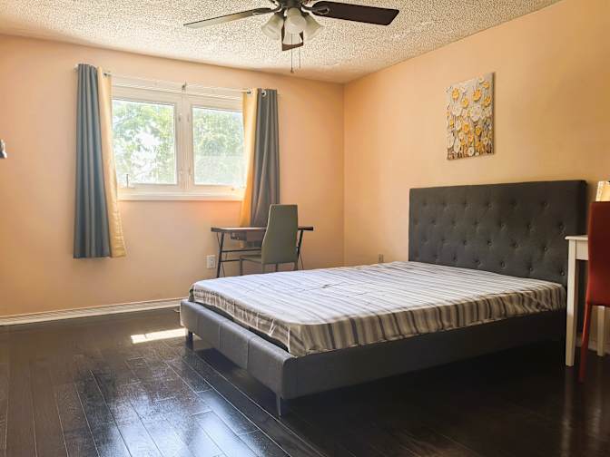 Elaine's room