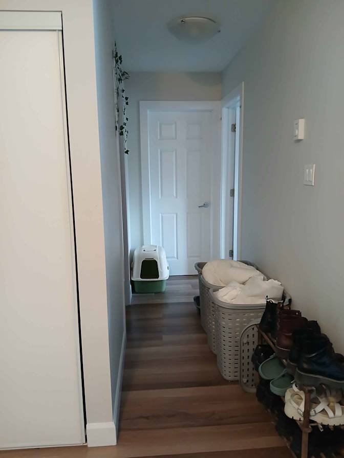 Elena's room