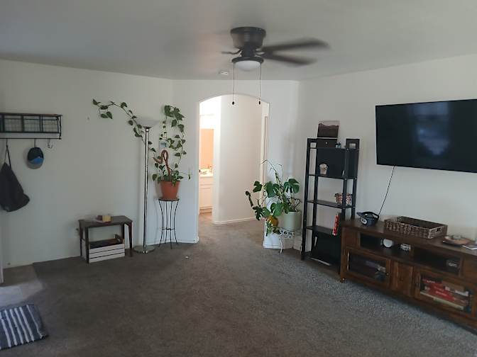 Mitchell's room