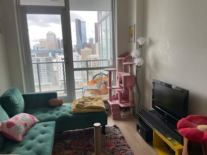 Alison Elewa's room