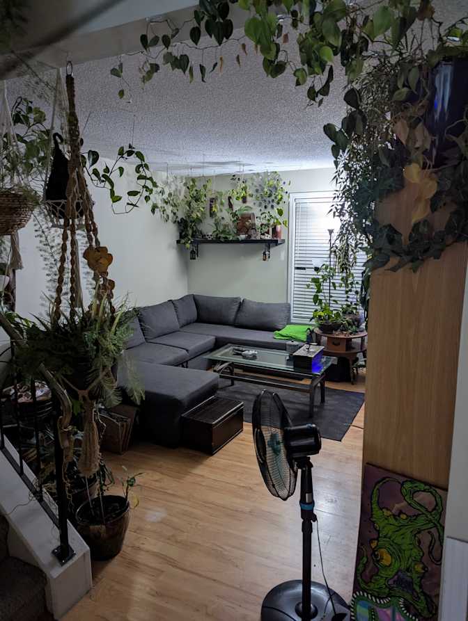 James's room