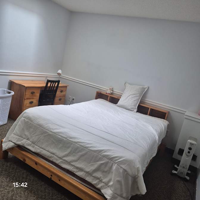 Elvis's room