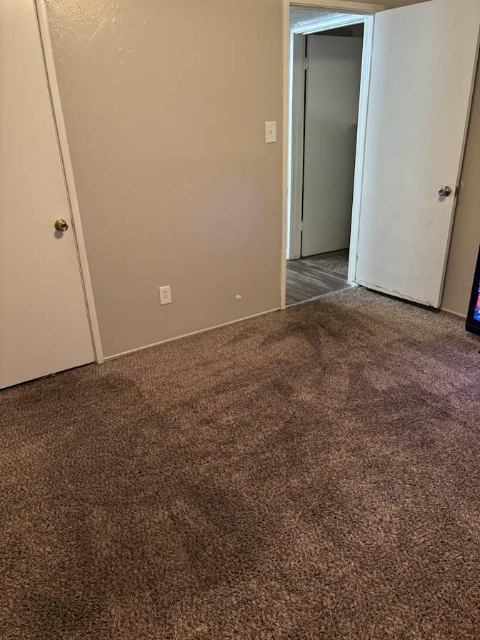 Neshelle's room