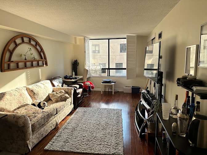 Hanneke de Roo's room