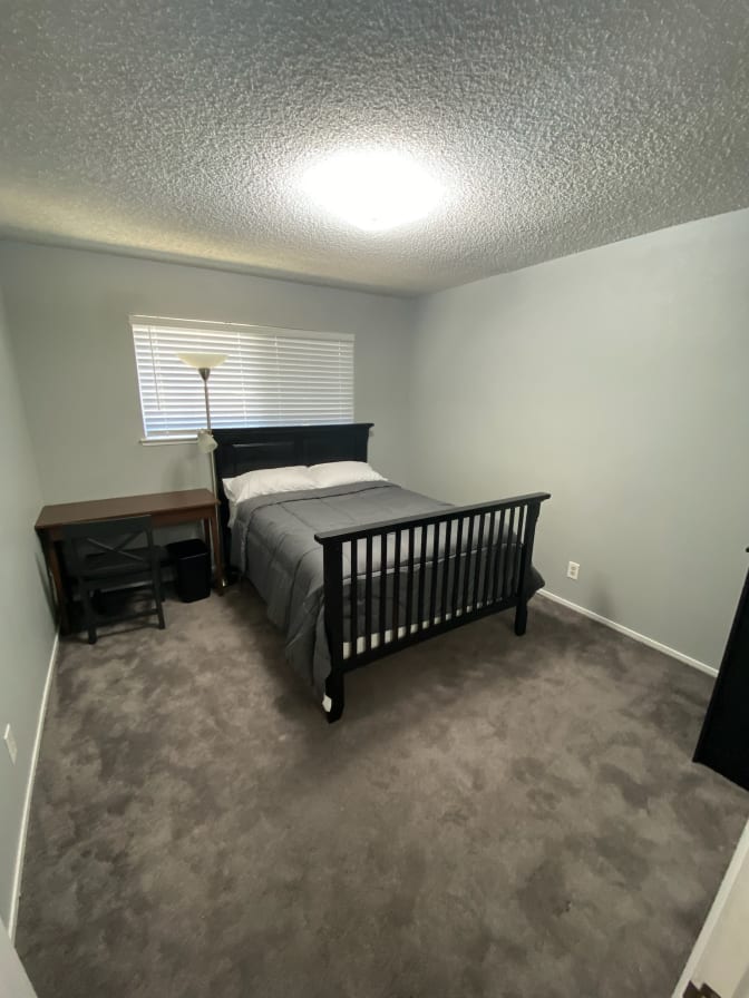 Adam's room