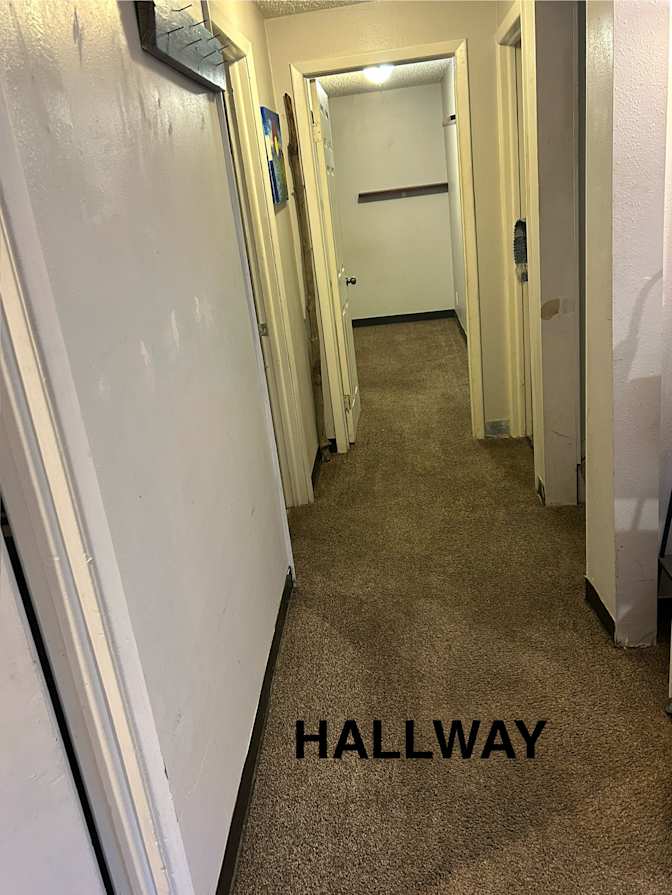 Sherry Scholle's room