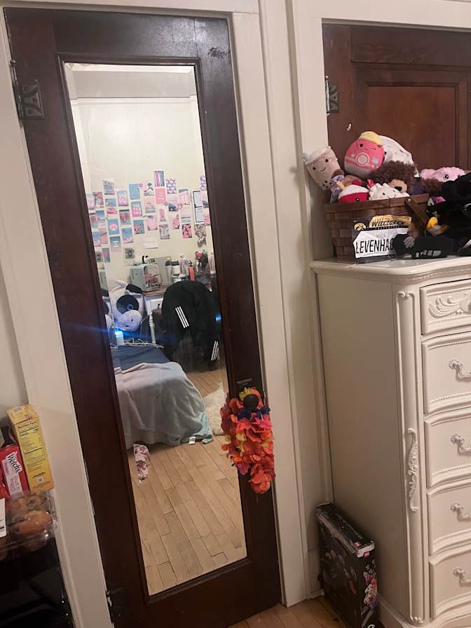 Nevia Levenhagen's room