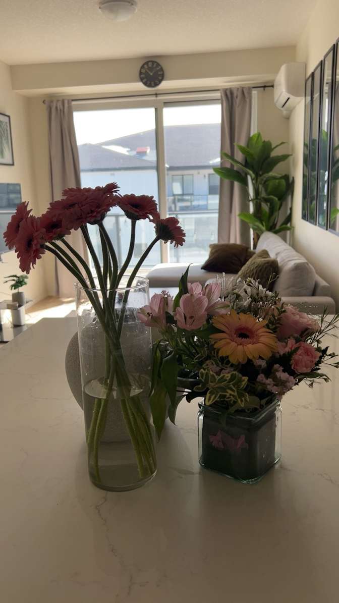 Natasha's room