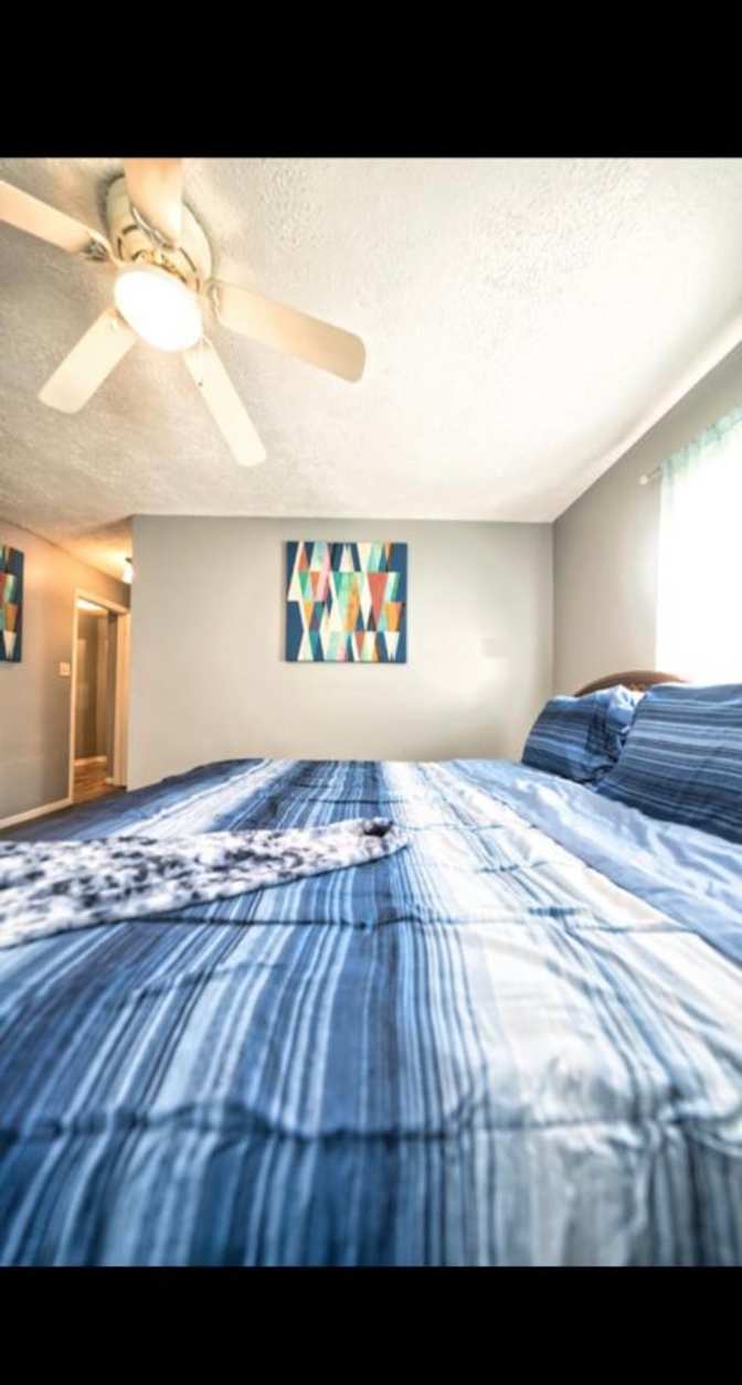 Stasha's room