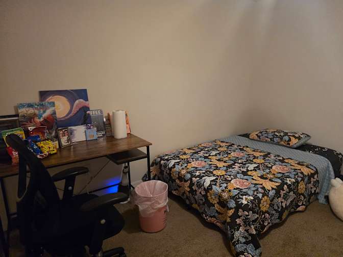 Cat's room