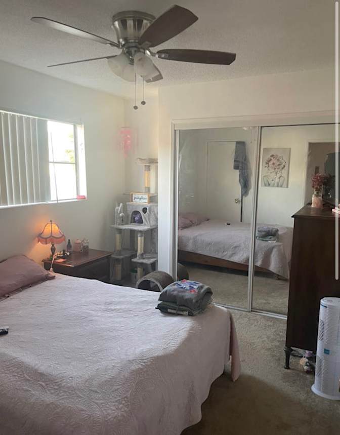 Libbi's room