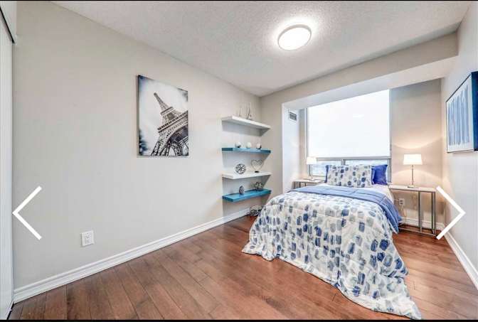 Shiggs's room