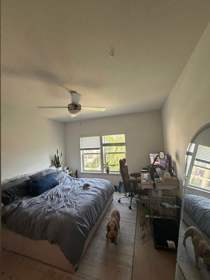 DJ's room