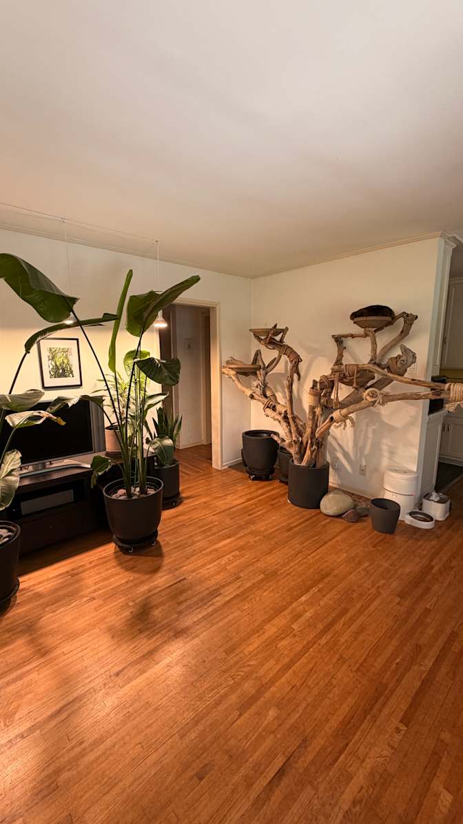 Brad's room