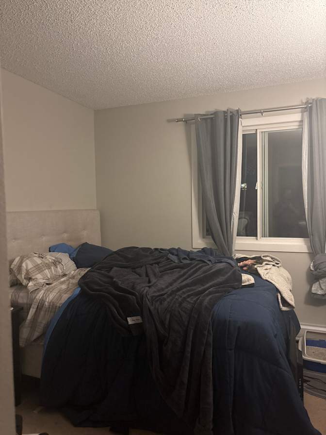 Jorja's room