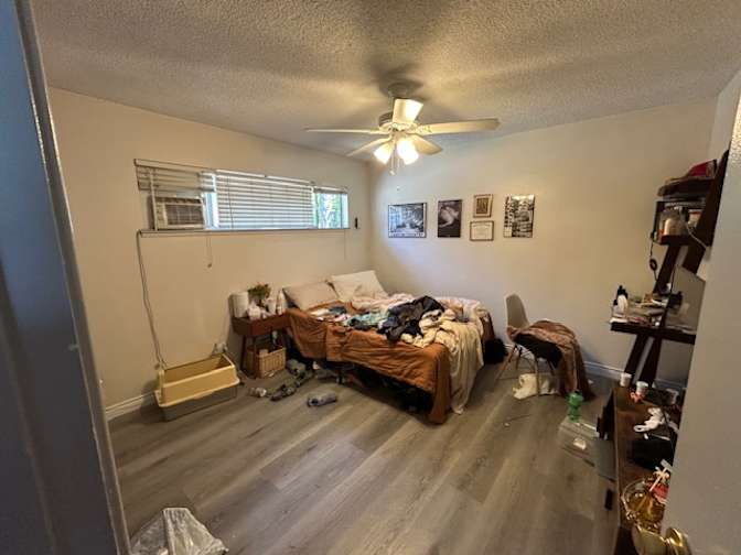Alicia's room