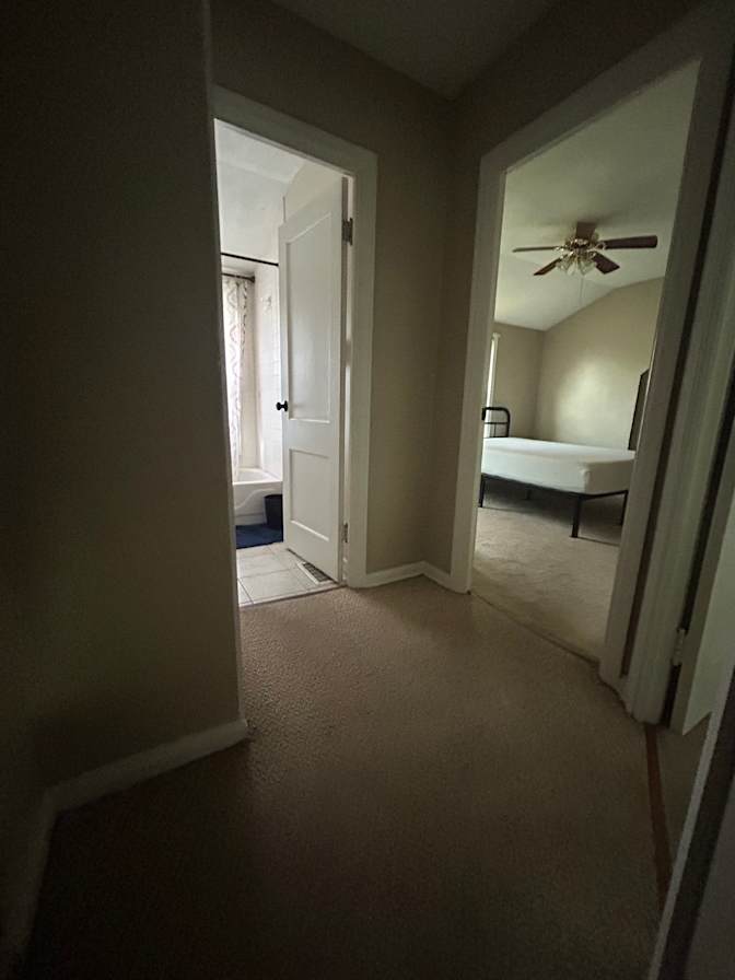Tatyana C's room