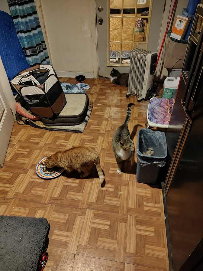 Michelle's room