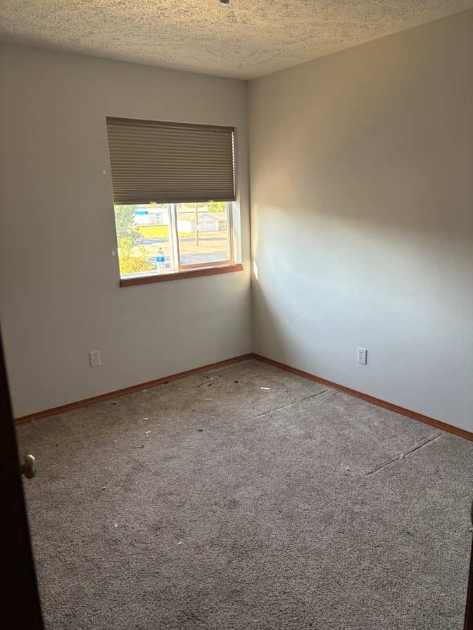 Noah's room