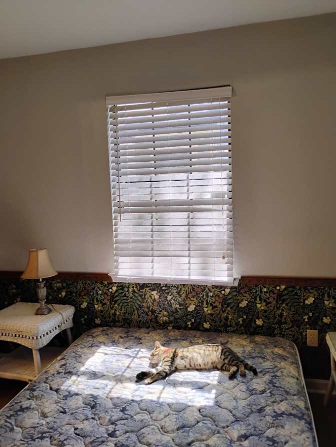 Laurel's room