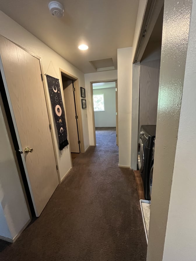 Emily's room