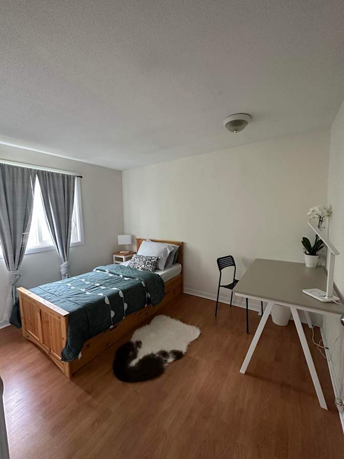 Lalaine's room