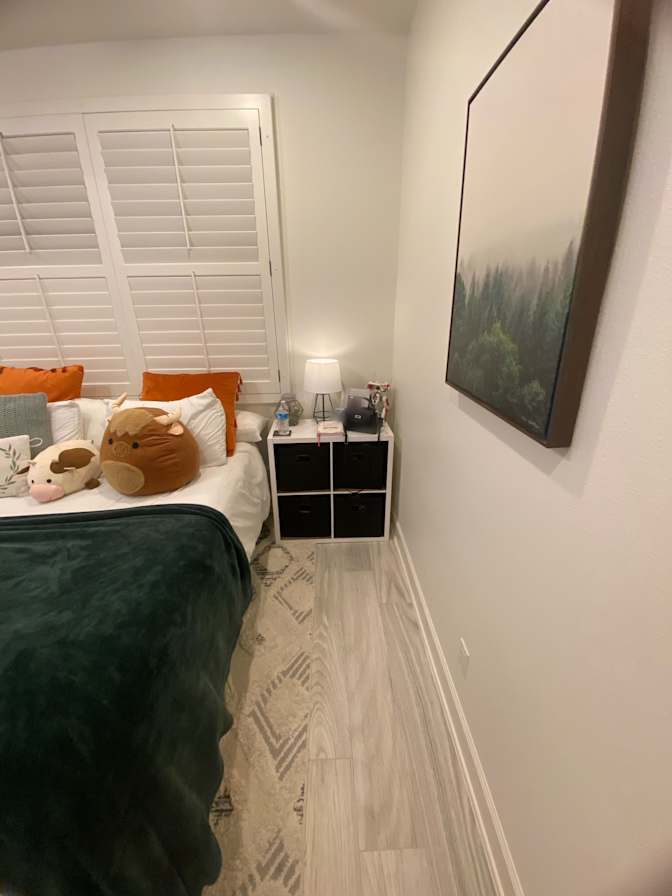 niloufar's room