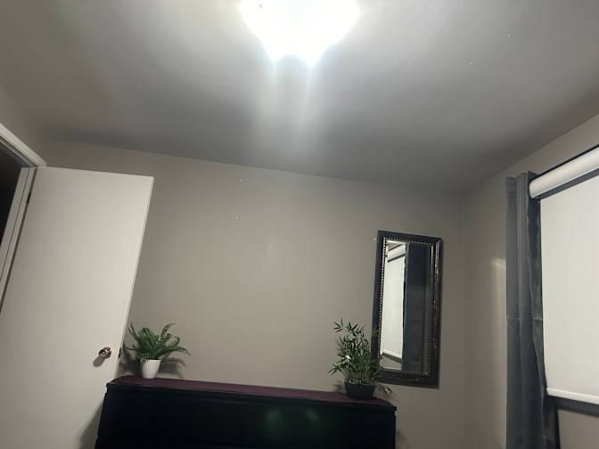 Shelly's room