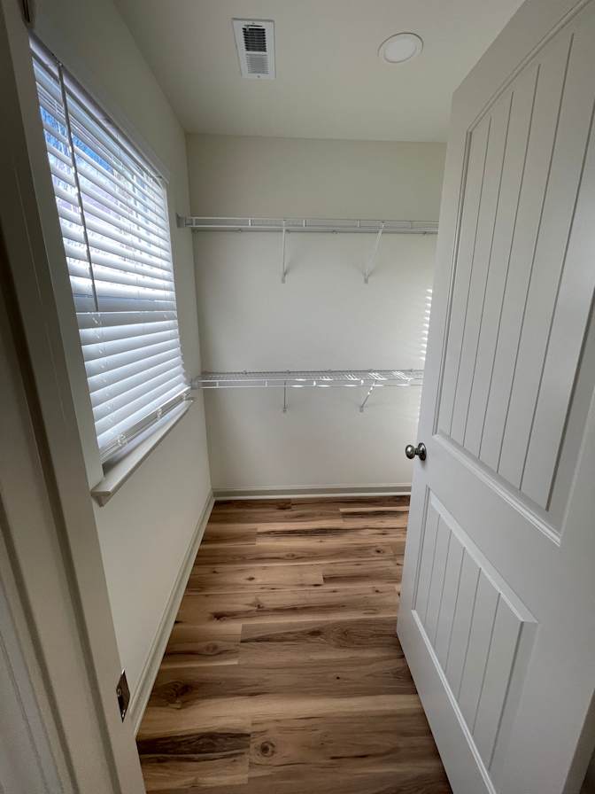 Carolina's room