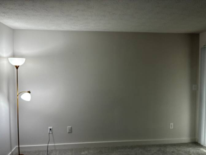 Vasudev's room