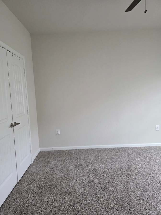 Tania's room