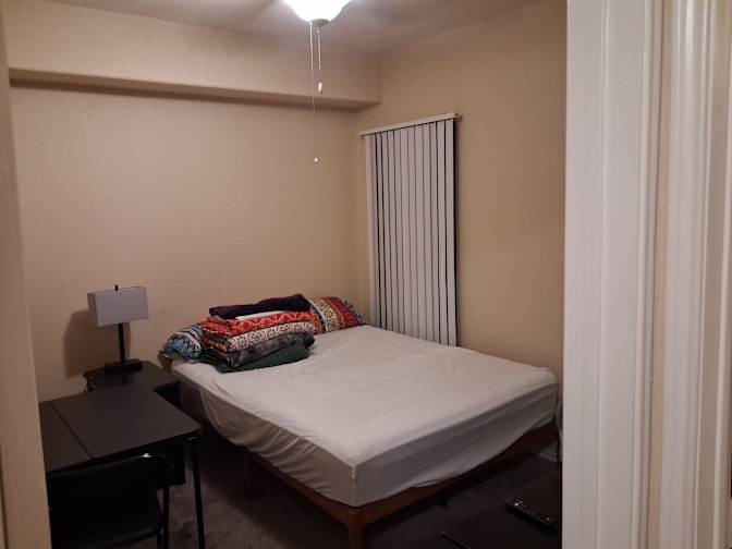 Shaun Baggs's room