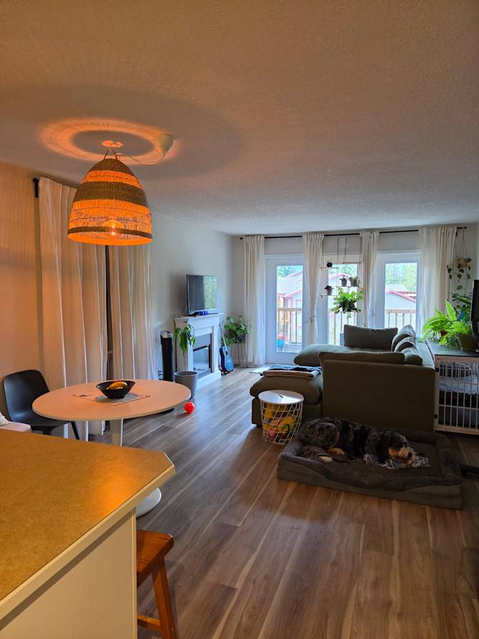 PAMELA's room