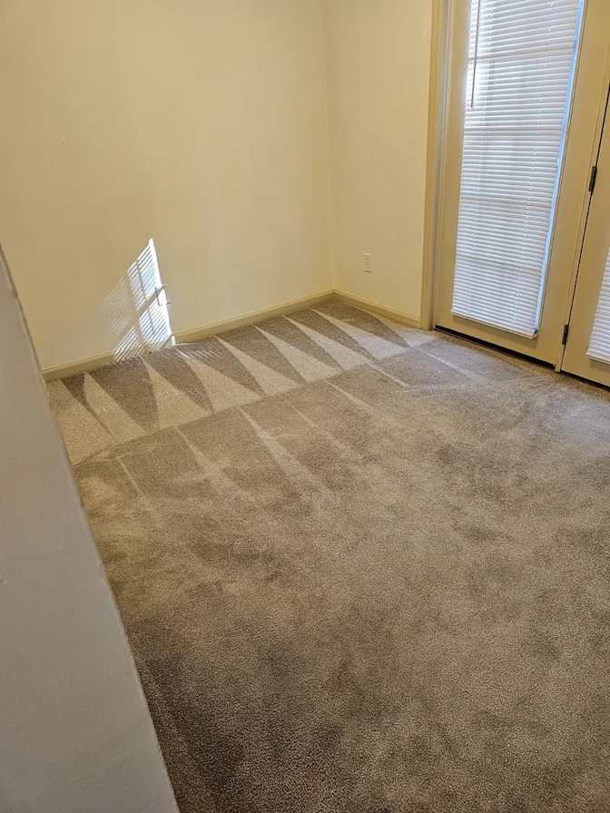 Mary's room
