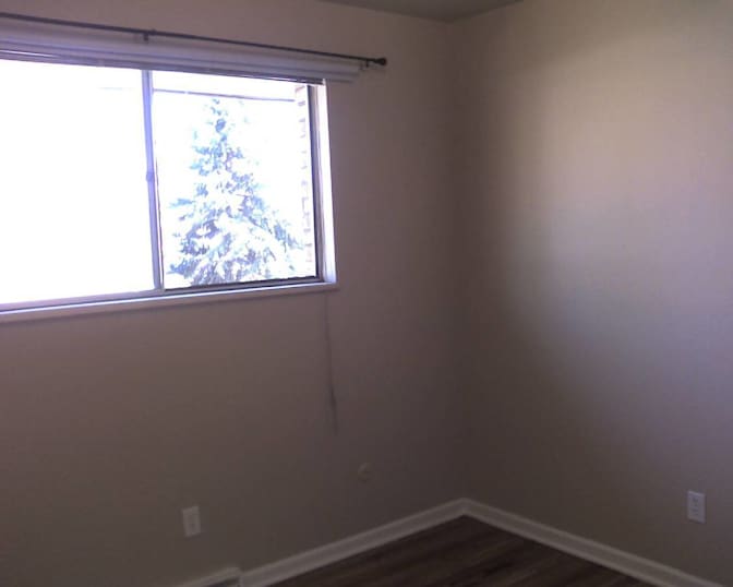Sunny's room
