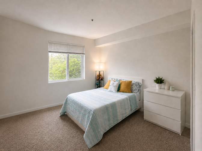 Farzad's room
