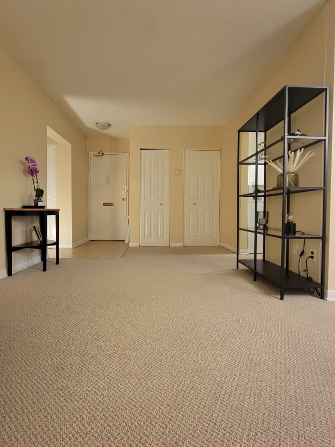 Shane's room