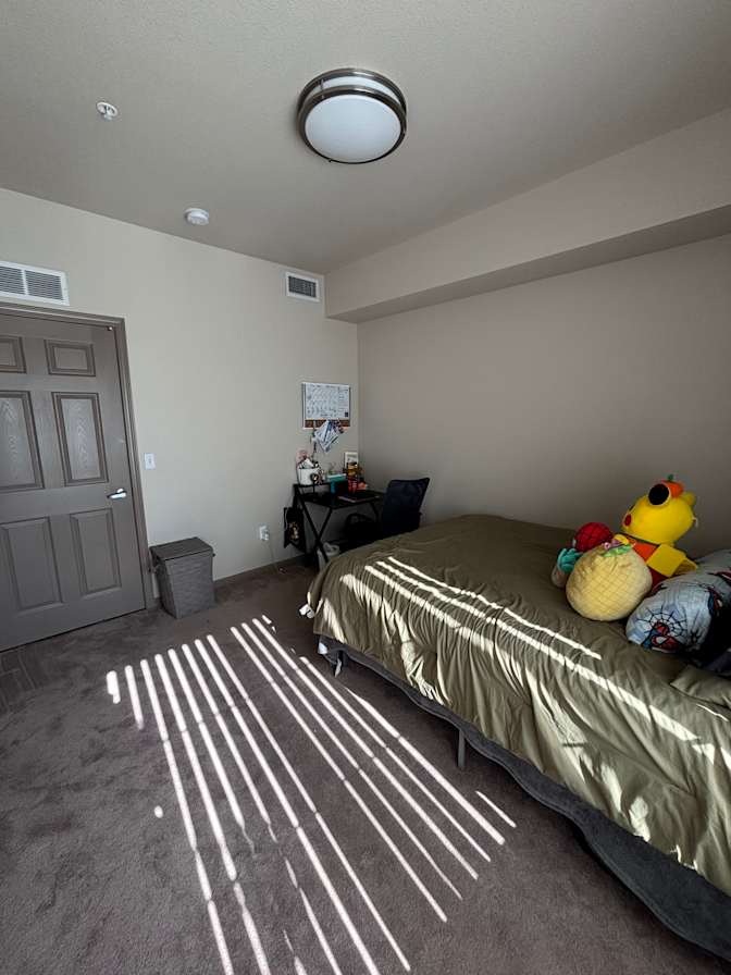 Jasmin's room