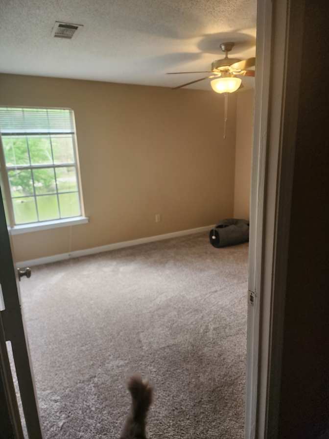 Fiore's room