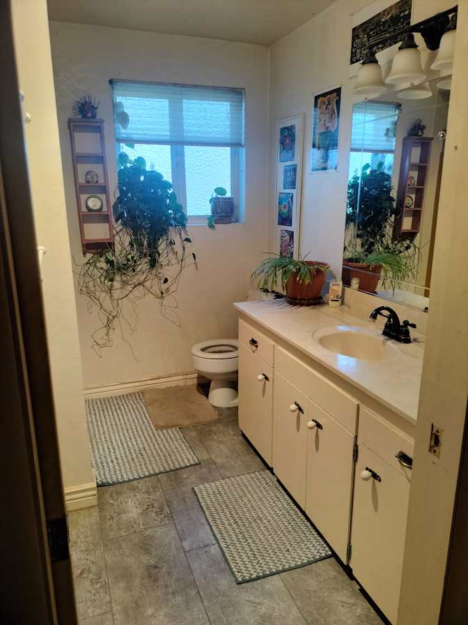 Rachel's room
