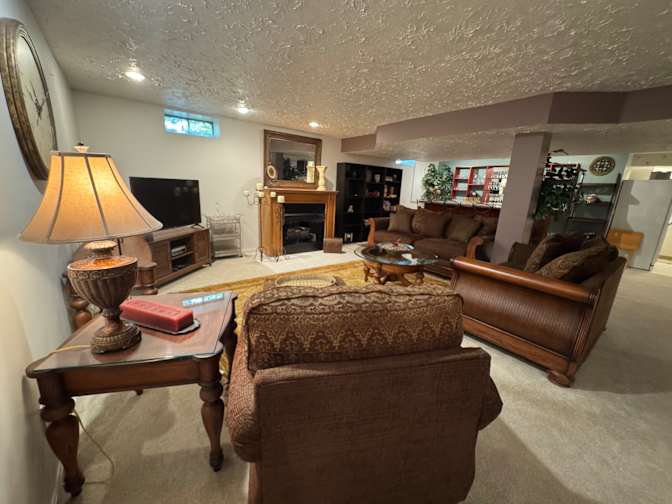 WFH professional's room