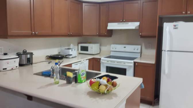 Shaheen's room