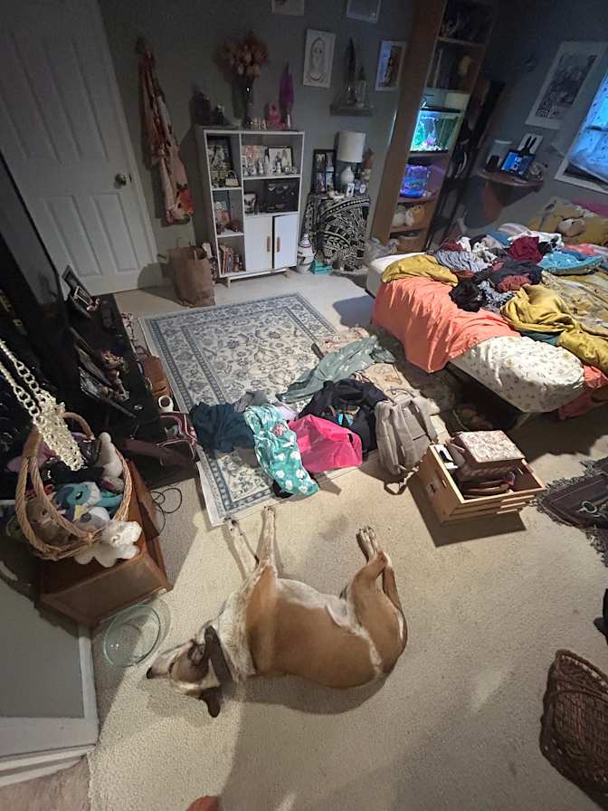 Aja Bos's room
