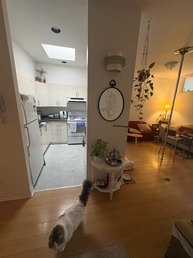 rashin's room