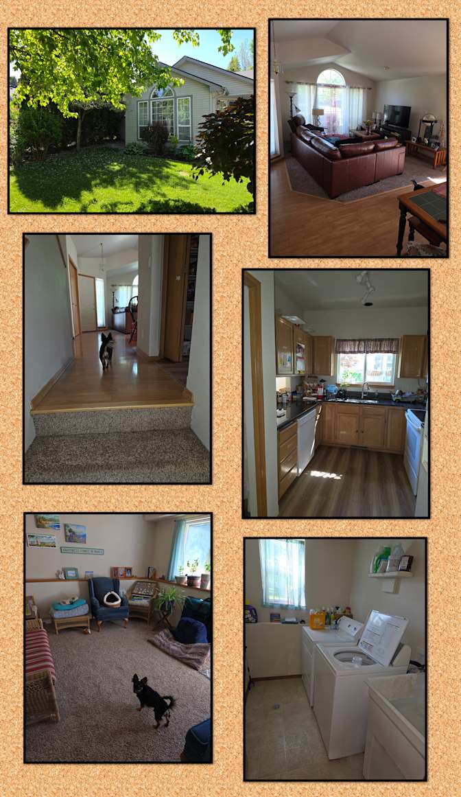Shirley Blackwell's room